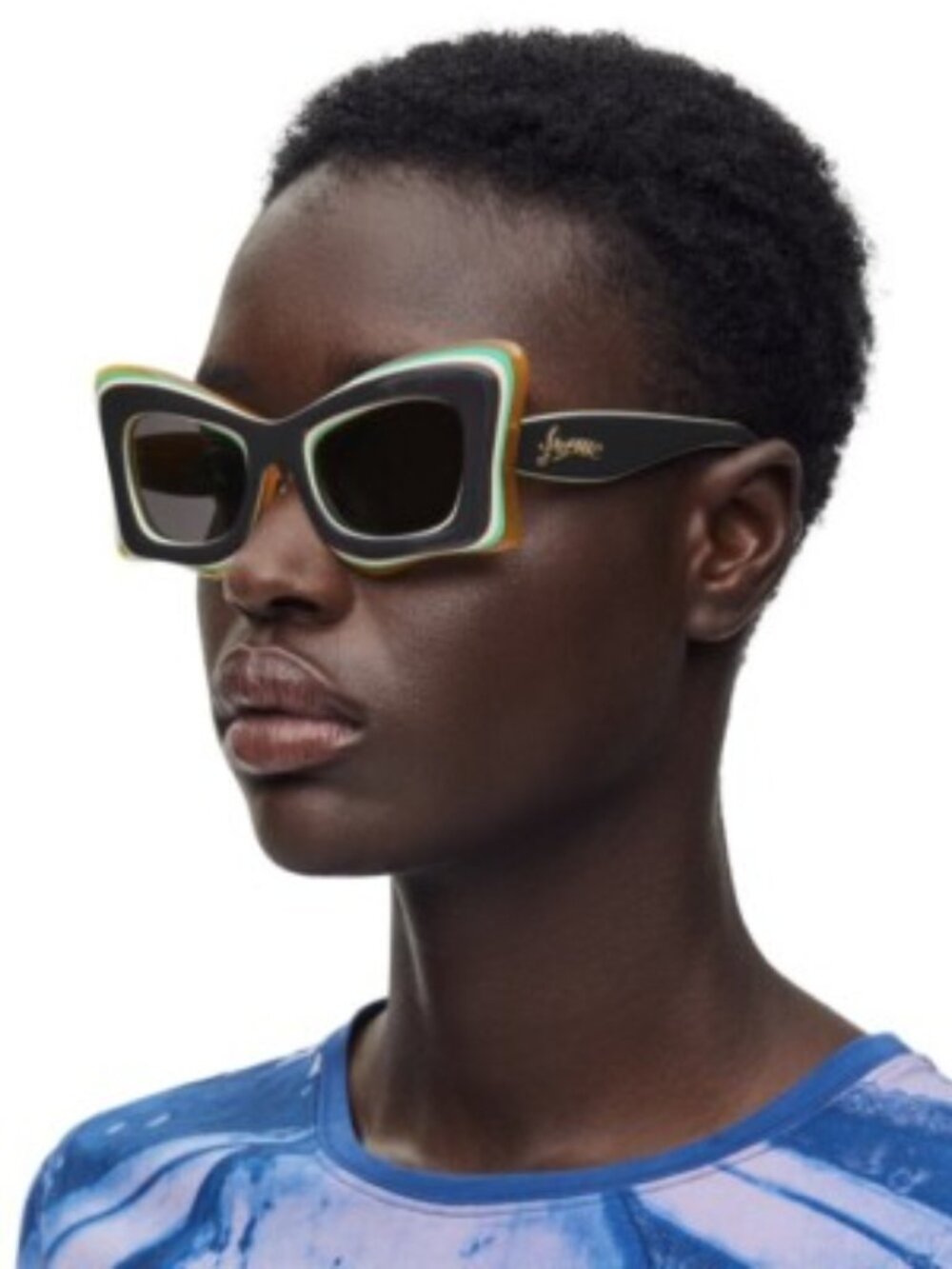 NWT LOEWE SUNGLASSES